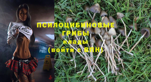 МДМА Каменск-Шахтинский