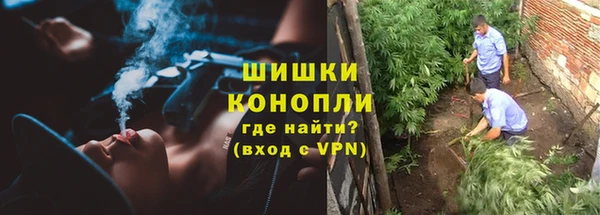 apvp Каменногорск